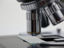 Roche is the biggest R&D spender investing 23.8% of its total sales Roche is the biggest R&D spender investing 23.8% of its total sales