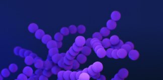 Cusatuzumab back in Argenx’s court as Janssen’s Cilag discontinues partnership Cusatuzumab back in Argenx's court as Janssen’s Cilag discontinues partnership