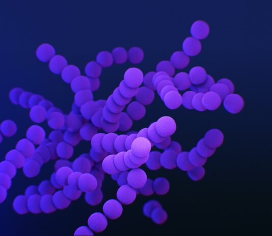 Cusatuzumab back in Argenx’s court as Janssen’s Cilag discontinues partnership Cusatuzumab back in Argenx's court as Janssen’s Cilag discontinues partnership