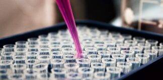 Patient-Centric Clinical Trials And The Role Of A Travel Concierge