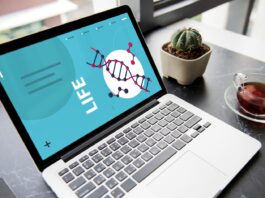 Software Development and Genomics: Why Collaboration between Expert Technologists and Researchers is Key to Innovation Software Development and Genomics