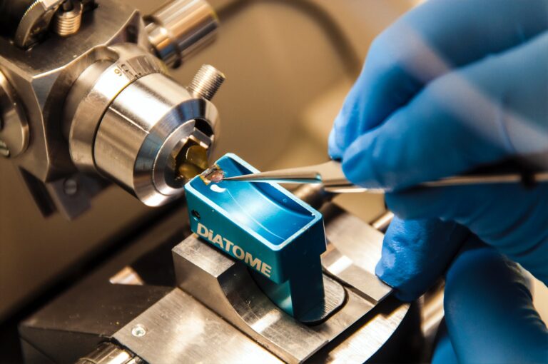 eli lilly manufacturing expansion