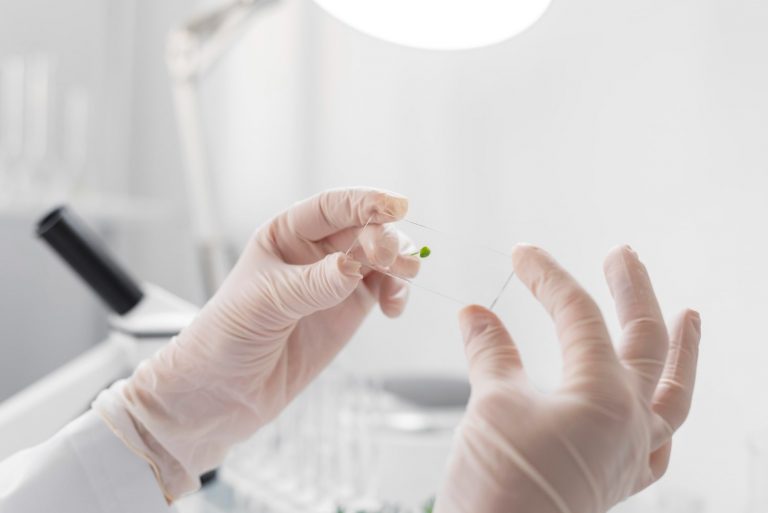 Epigenetic Treatment Stimulates Spinal Cord Regeneration in Mice