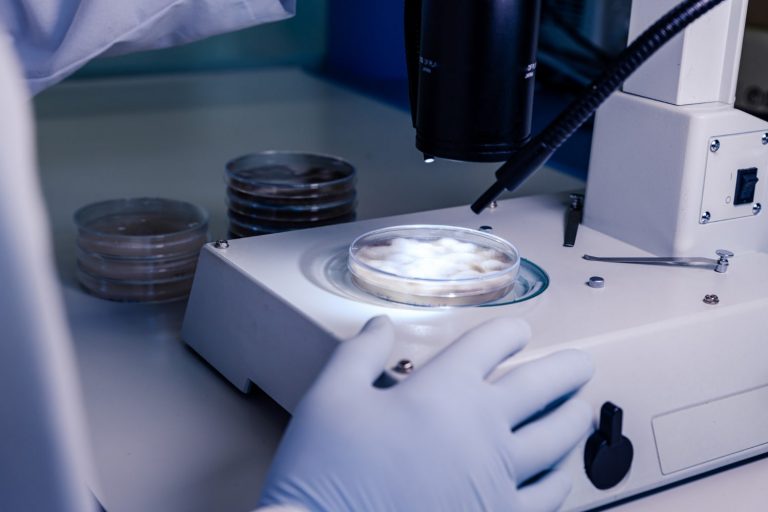 BioMarin promises to evaluate cancer case in its trial of gene therapy
