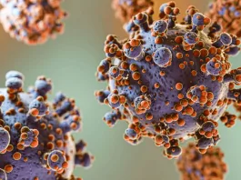 Life Sciences Voice Top Five Newsletter