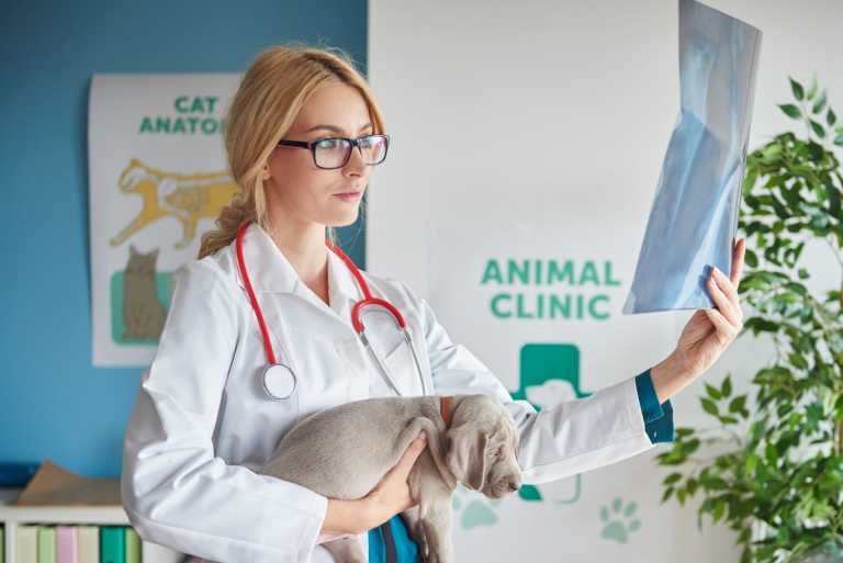 AMAP by Charles River to work towards developing alternatives to animal testing
