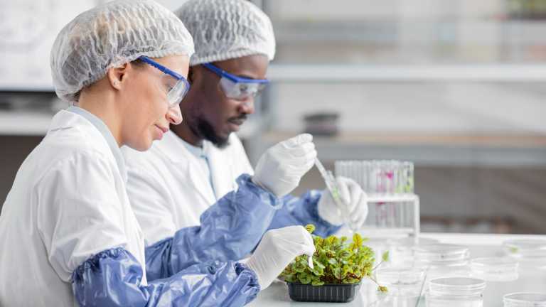 Eisai and Biogen Start Rolling Submissions with the FDA for Their Infused Alzheimer’s Drug Leqembi