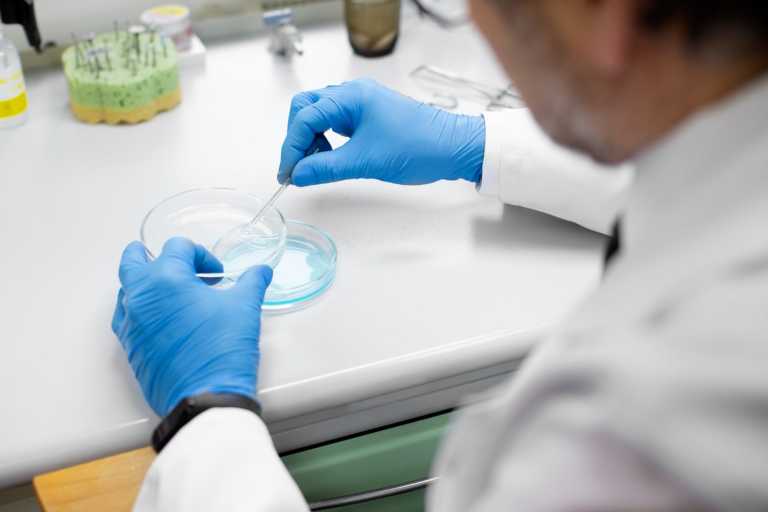 A little boy’s tragic cardiac arrest puts Pfizer’s Phase 3 gene therapy experiment on hold