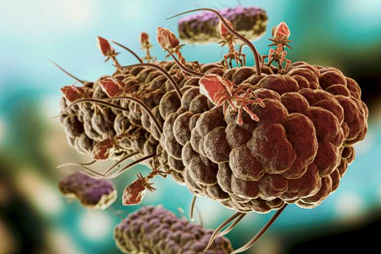 Life Sciences Voice Top Five Newsletter