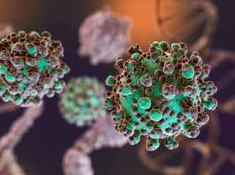 Life Sciences Voice Top Five Newsletter
