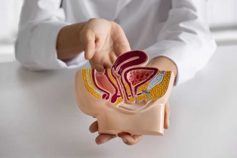 Leap Therapeutics Shifts Focus to Colorectal Cancer After Mixed Phase 2b Trial Results