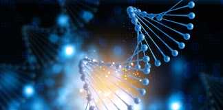 Roche Comes Out With Novel ‘Sequencing-By-Expansion’ Approach