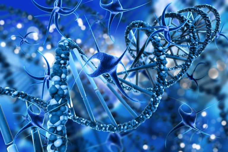 Hologen AI Commits Up to $430 Million to Advance MeiraGTx’s Parkinson’s Gene Therapy to Phase 3 and Beyond