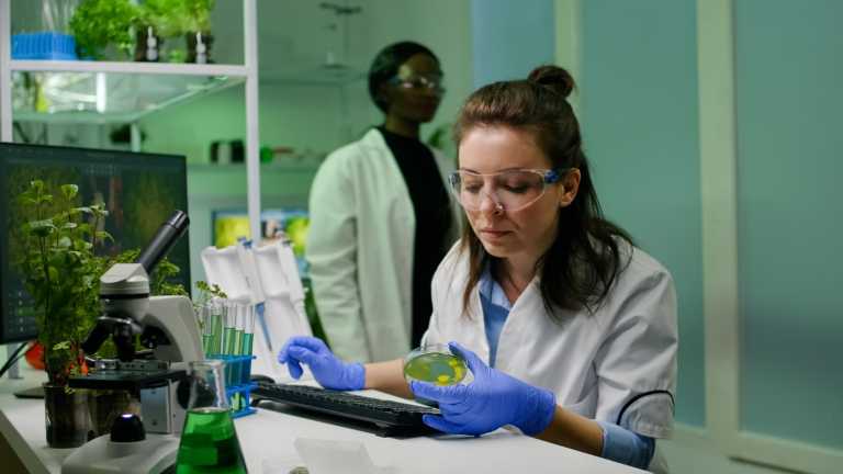VelaVigo Bio Strikes Second Major Licensing Agreement, Transfers Bispecific Rights to Ollin Biosciences