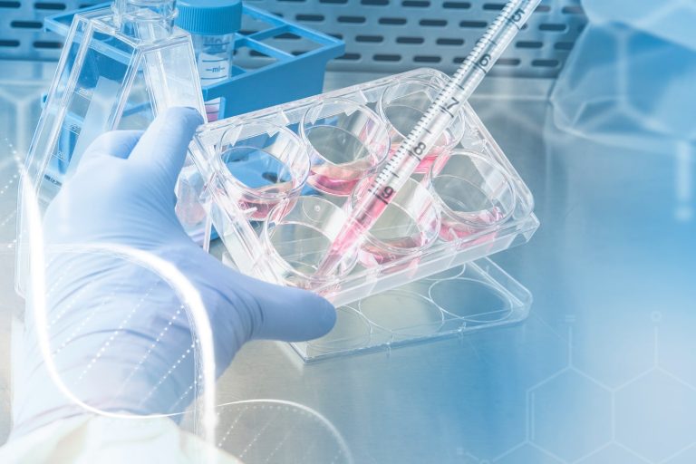 Argenx and Unnatural Products Sign $1.5 Billion Deal to Develop Macrocyclic Peptide Therapies